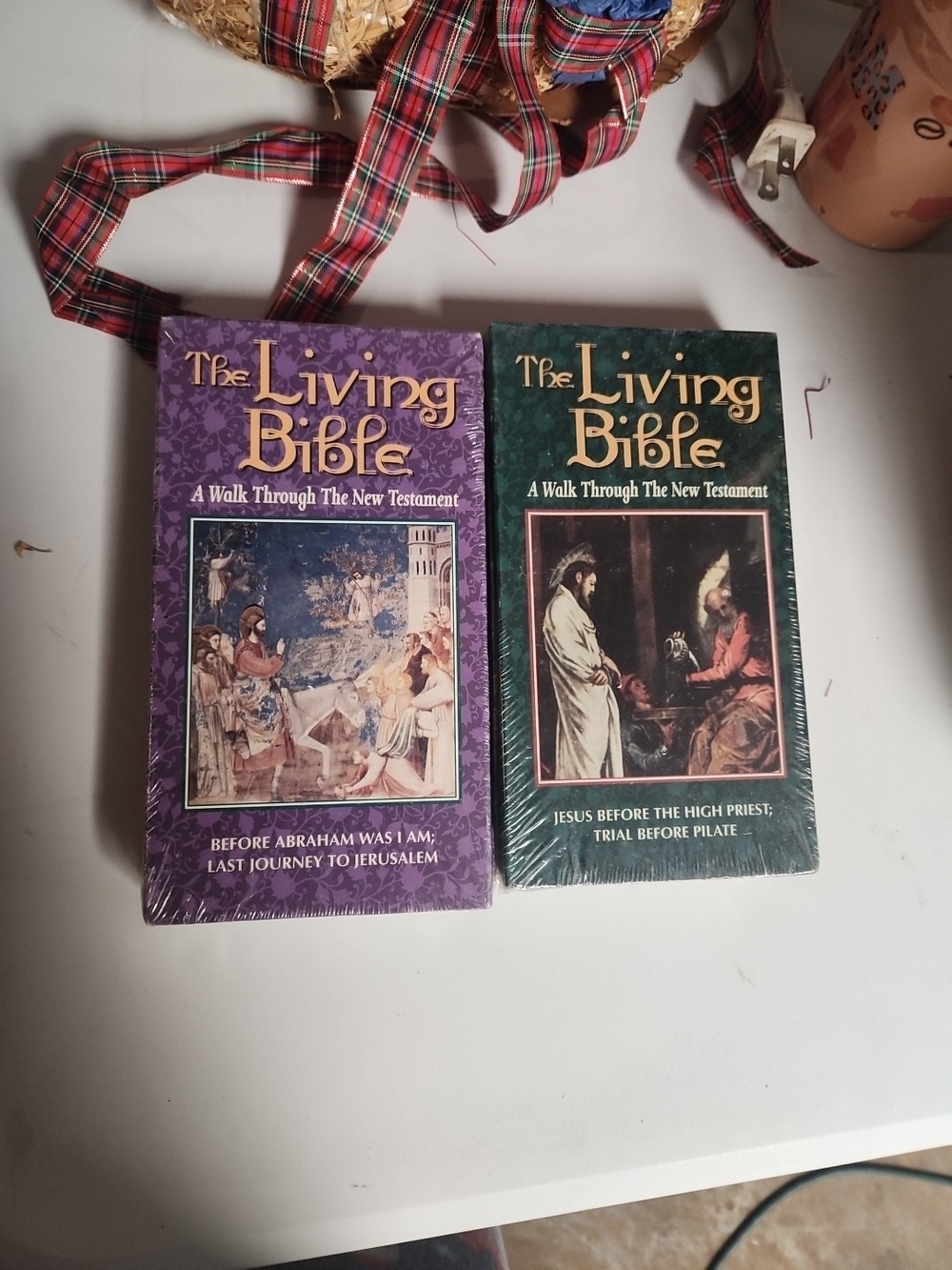The Living Bible - A Walk Through the New Testament (Purple & Green)
